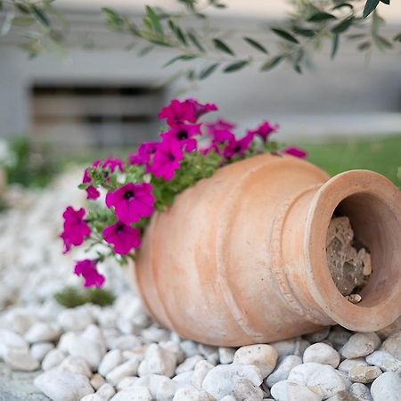 La Casa Di Anna Green Domegliara Εξωτερικό φωτογραφία